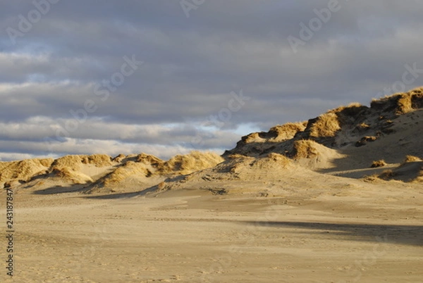 Obraz beach at sunset