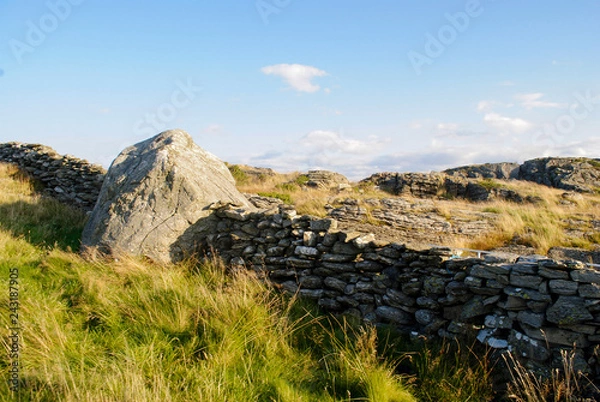 Obraz landscape by the coast 