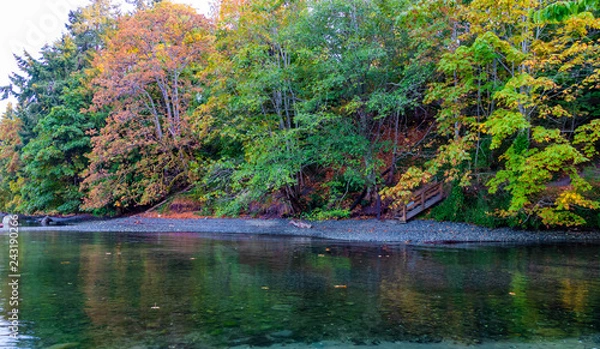 Obraz lake in the fall forest