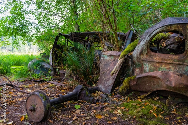 Obraz Rusty Car Forest