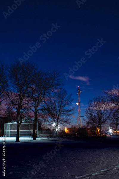 Obraz Winter Sunset at the park