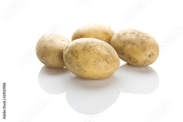 Obraz Potatoes on a white background