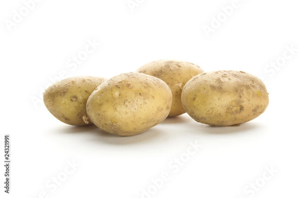 Obraz Potatoes on a white background