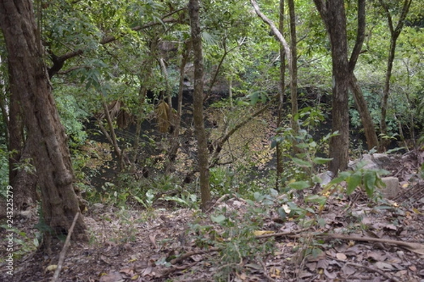Fototapeta Cenote