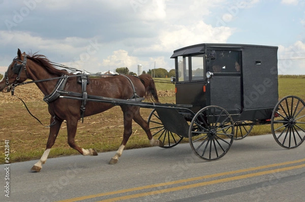 Obraz amish horse and buggy