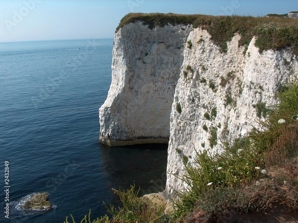Fototapeta kreidefelsen bei studland, bournemouth