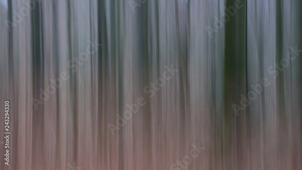 Obraz Baumstämme in Bewegung