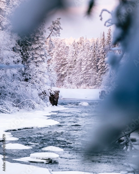 Obraz Ice snowy winter river