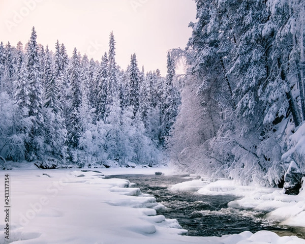 Obraz Ice snowy winter river