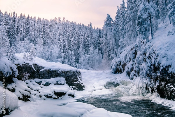 Obraz Ice snowy winter river