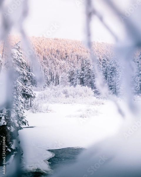 Obraz Ice snowy winter river