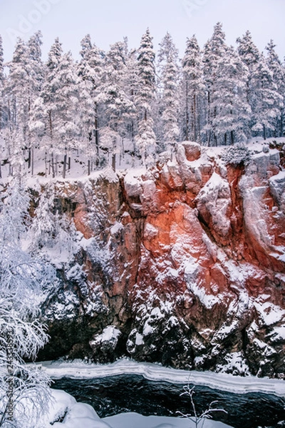 Obraz icy cliff river tree