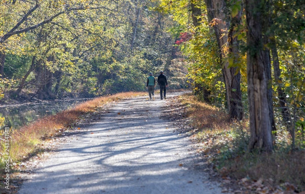 Obraz Couple walking in Fall