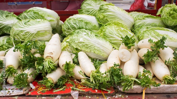 Obraz Chinese cabbage