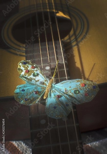Obraz Turquoise butterfly on strings of acoustic guitar,