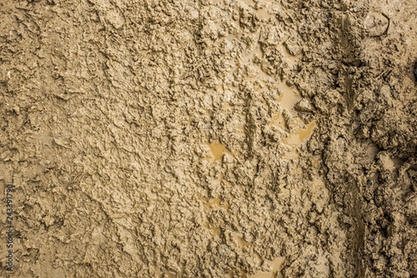 Obraz mud
