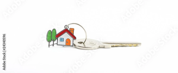 Obraz House shaped keychain