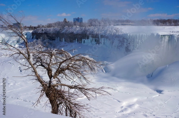 Fototapeta Frizzing niagara falls