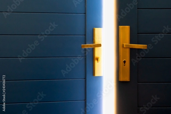 Obraz Open blue door and sunshine