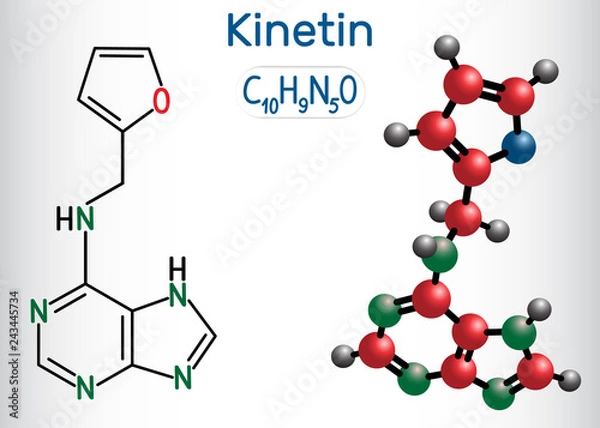 Fototapeta Kinetin (N6-furfuryladenine) molecule. It is plant hormone. Structural chemical formula and molecule model