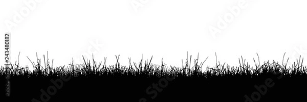 Fototapeta Seamless realistic illustration of a grass stalk or lawn, isolated on a white background, vector