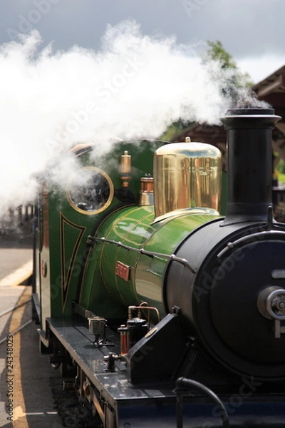 Obraz Narrow gauge steam train