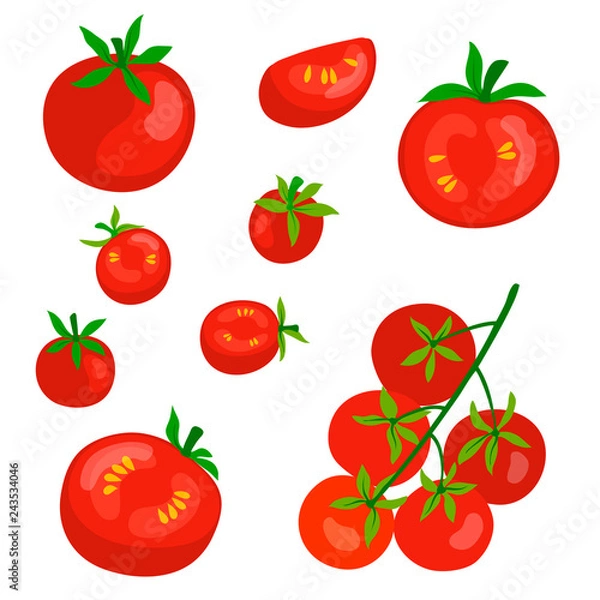 Obraz vector tomato red vegetables set vegetarian food cartton  simle pattern for your design 