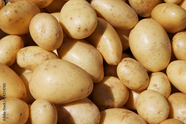 Obraz Yukon Potatoes