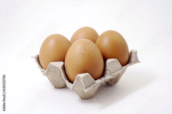 Obraz Brown Egg Isolated on White Background