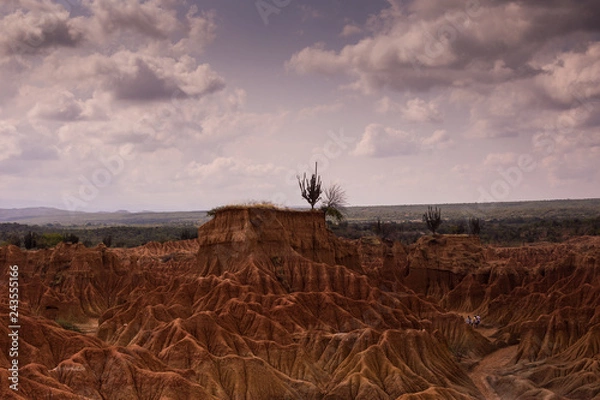 Fototapeta Pustynia o zmierzchu