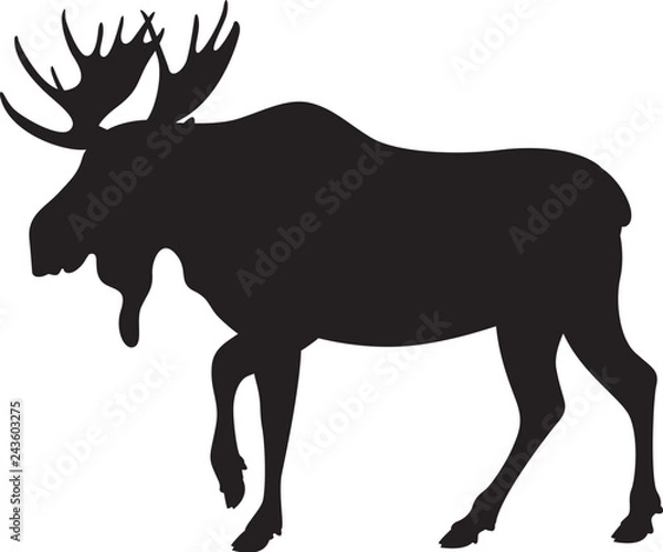 Obraz moose, vector illustration , black silhouette profile 