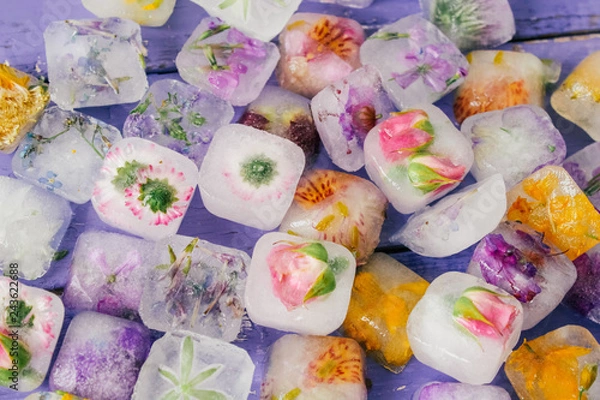 Fototapeta ice with frozen flowers, beauty, personal care