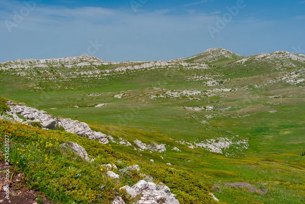 Fototapeta Beautiful spring landscape on limestone Chatyr-Dah mountainous massif, Crimean peninsula