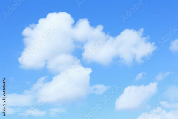 Fototapeta さかなのいる空