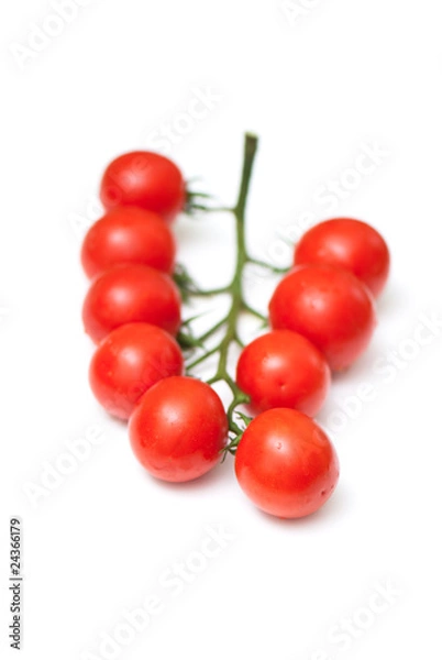 Obraz cherry tomato