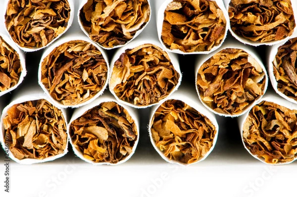 Fototapeta Smoking cigarettes isolated on the white background