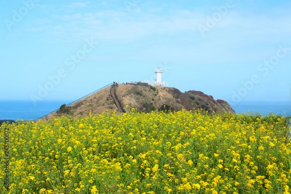 Obraz 제주도 서귀포에 있는 "섭지코지"의 봄 풍경이다.