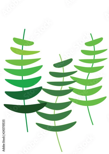 Fototapeta водоросли.2