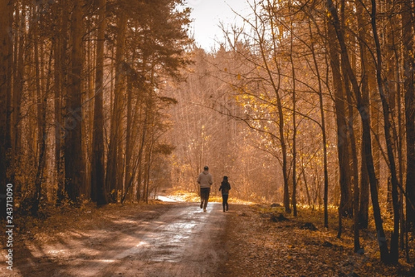 Obraz run in the forest