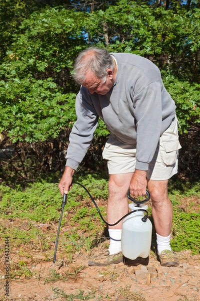 Obraz Active Senior Spraying Weeds