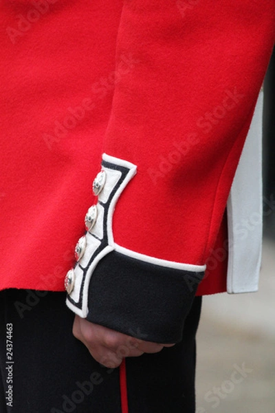 Obraz grenadier guard