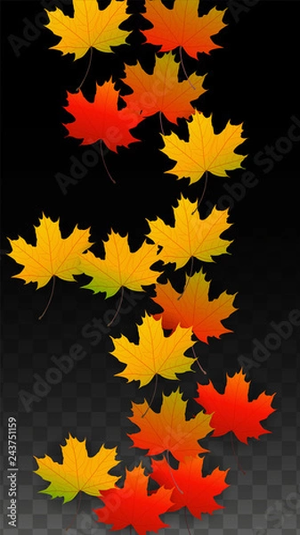 Obraz September Vector Background with Golden Falling Leaves. Autumn Illustration with Maple Red, Orange, Yellow Foliage. Isolated Leaf on Transparent Background. Bright Swirl. Suitable for Posters.