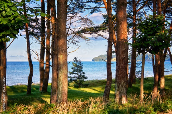 Fototapeta View from the promenade in Binz to the Baltic Sea and the cliff in Sellin. Pomerania, Germany