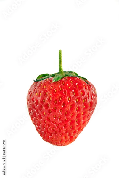 Obraz single strawberry
