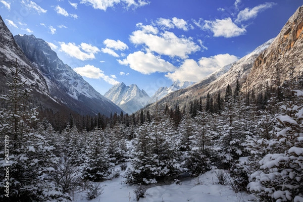 Fototapeta ShuangQiao Valley Scenic Area, Four Girls Mountain National Park in Sichuan Province China. Snow Capped Jagged Mountains with clouds forming at the summit. Blue Sky, Snow Mountains, Siguniangshan