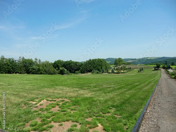 Obraz 広大な自然風景