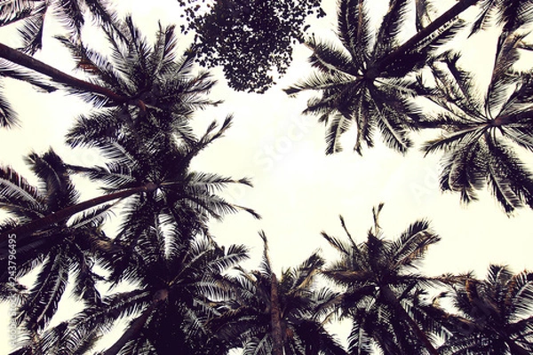 Obraz Picnic area at the Anse des Cascades in Ste-Rose in East of Reunion Island