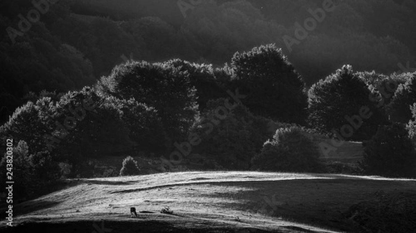 Obraz colline  in inverno
