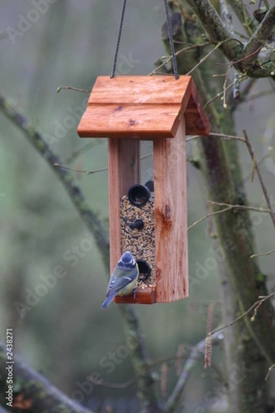 Obraz mangeoire pour oiseaux
