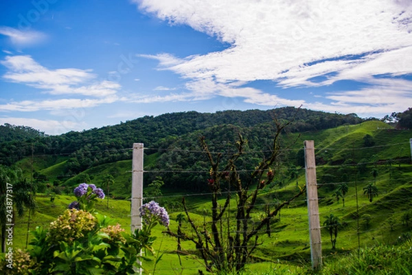 Obraz fence and mountains